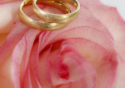 Goldene Hochzeitsringe auf Rose